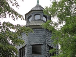 Holzweiig.auen1.4054