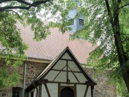 Holzweiig.auen2.4055