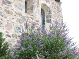 Thalheim.IMG_3952